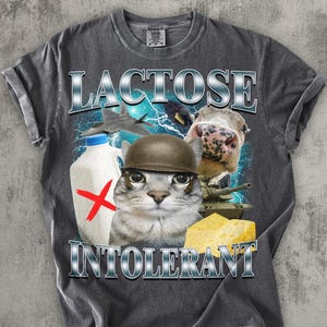 Lactose Intolerant Funny Cat Meme T-shirt, Comfort Colors Shirt, Stupid Gifts, Silly Cats Tee, Weird Tshirt, Cringey Tees, Unhinged Clothes