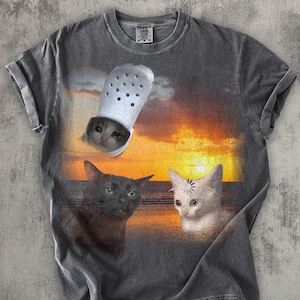 Three Cats Sunset T-shirt, Funny Cat Meme Shirt, Vintage Graphic Tee, 90s Retro Tshirt, Weird Shirts, Silly Tees, Comfort Colors, Gag Gifts