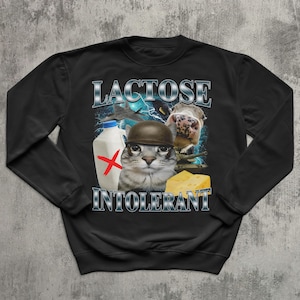 May include: Black sweatshirt with a graphic featuring a cat in a helmet, a dog, a milk carton with a red cross, and a cheese block. The text "LACTOSE INTOLERANT" is displayed above and below the cat.
