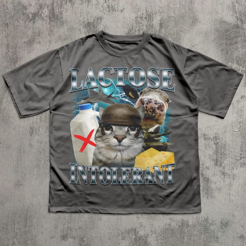May include: A gray t-shirt with the words "LACTOSE INTOLERANT" in silver lettering. The graphic features a cat wearing a helmet, a milk bottle with a red X, a cow, and a piece of cheese.