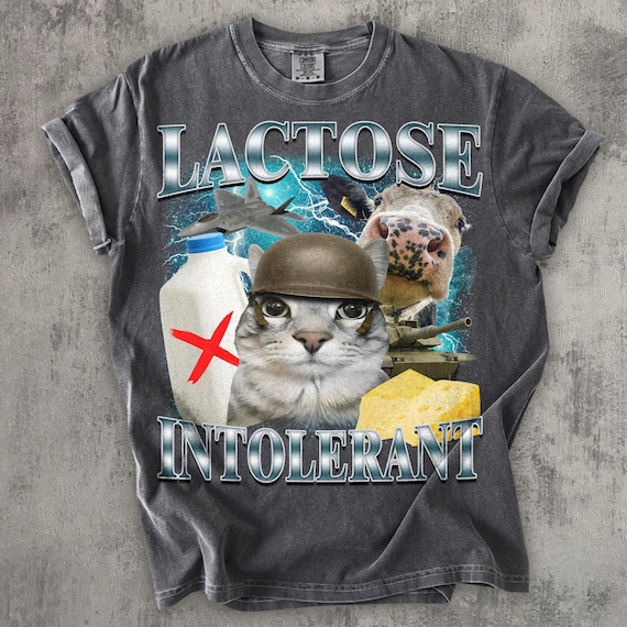 Lactose Intolerant Funny Cat Meme T-shirt, Comfort Colors Shirt, Stupid Gifts, Silly Cats Tee, Weird Tshirt, Cringey Tees, Unhinged Clothes