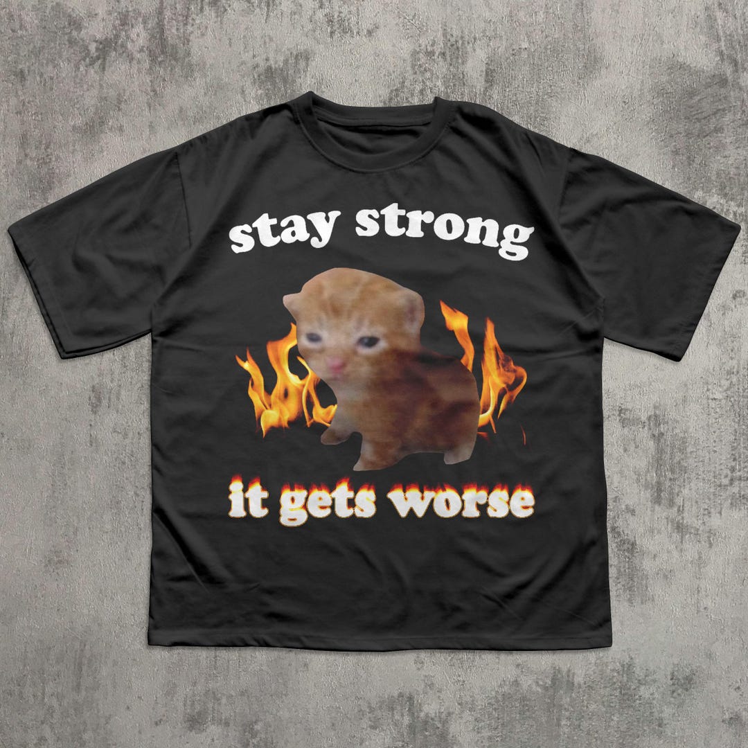 Stay Strong It Gets Worse Funny Cat Meme T-shirt, Silly Cats Shirt ...