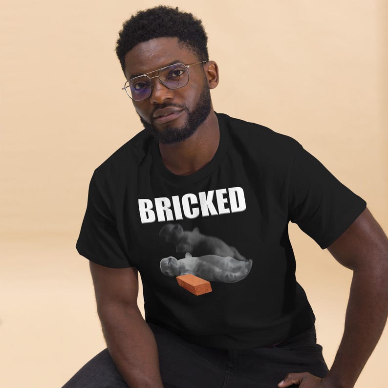 Bricked Funny Cat Knocked Out T-shirt, Cat Meme Shirt, Brainrot Tee, Silly Cats Tshirt, Unhinged Clothes, Weird Tees, Shirts That go Hard