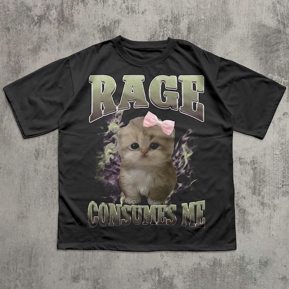 Rage Consumes Me Funny Cat Meme Tee Shirt, Silly Cats T-shirt, Stupid Gifts, Brainrot Shirts, Ugly Tees, Unhinged Clothes, Gift for Her
