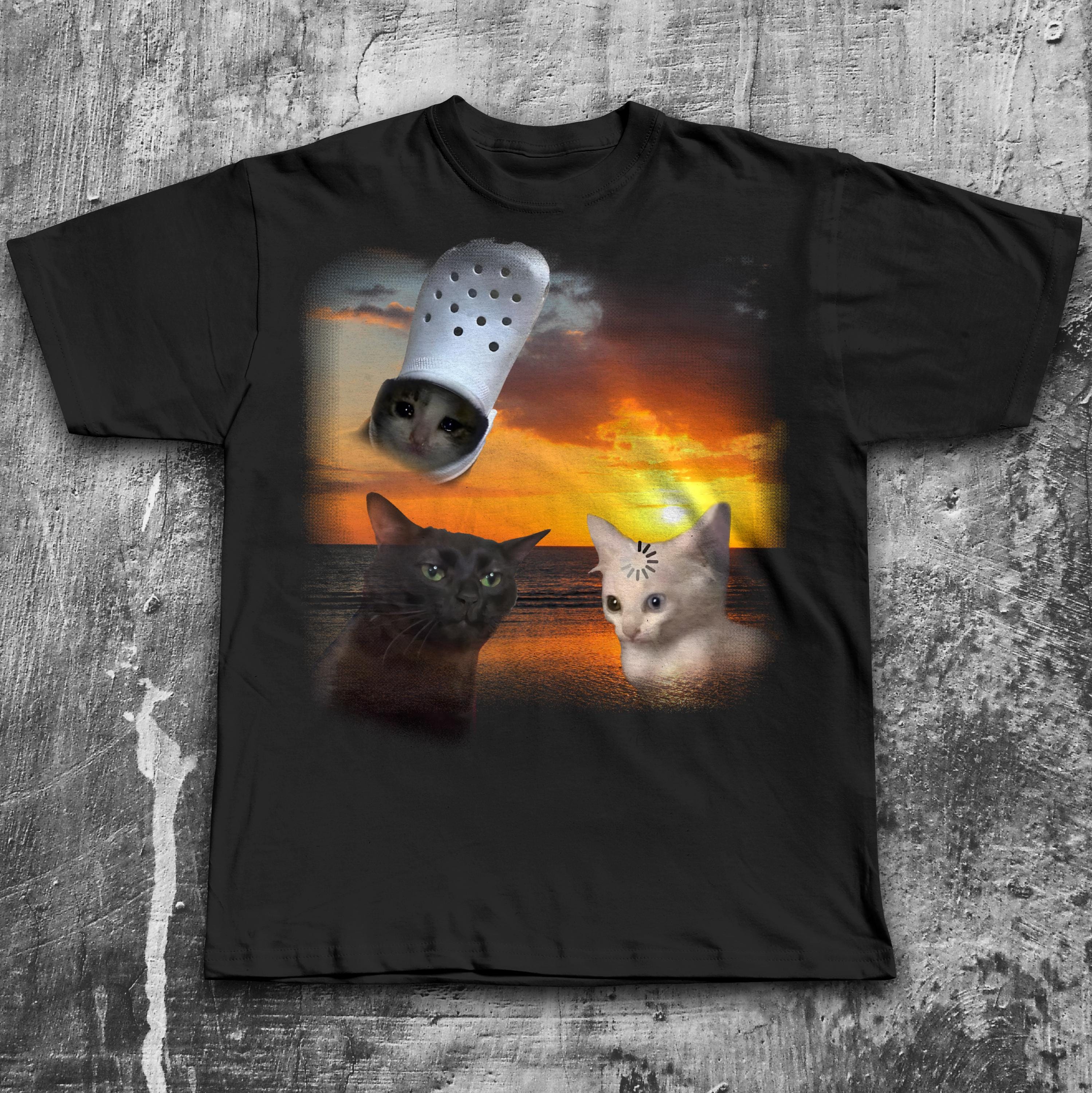 ★AWESOMEUS★ RIDICULOUS CAT PIGMENT TSHIRTGRAY il_fullxfull.6984723937_1tqg.jpg