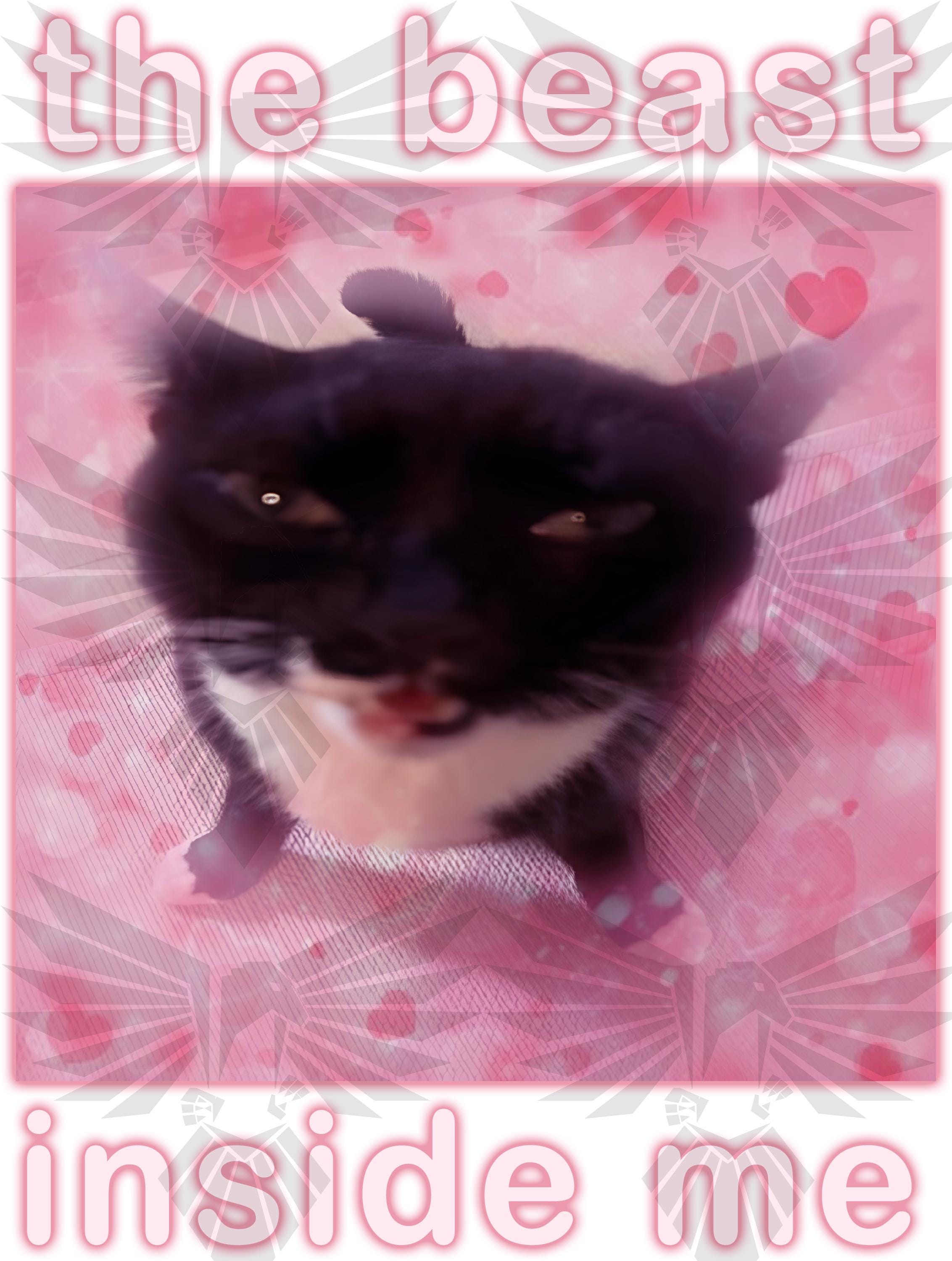Het beest in mij Funny Cat Meme afdrukbare png digitale bestanden bedompte  memes DTG-bestanden ongepast Silly Cats losgeslagen digitale bestanden, image size:2265x3000