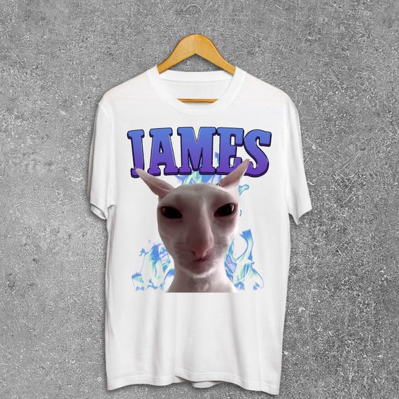 James Funny Cat Meme T-shirt, Silly Cats Shirt, Brainrot