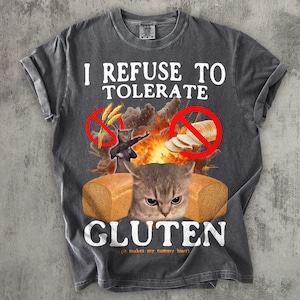 T-Shirt Drôle Avec Chat Meme « Goofy Ahh Silly Cats » – Coupe Oversize, Col Rond, Pour Hommes Et Femmes, Taille S à 3XL