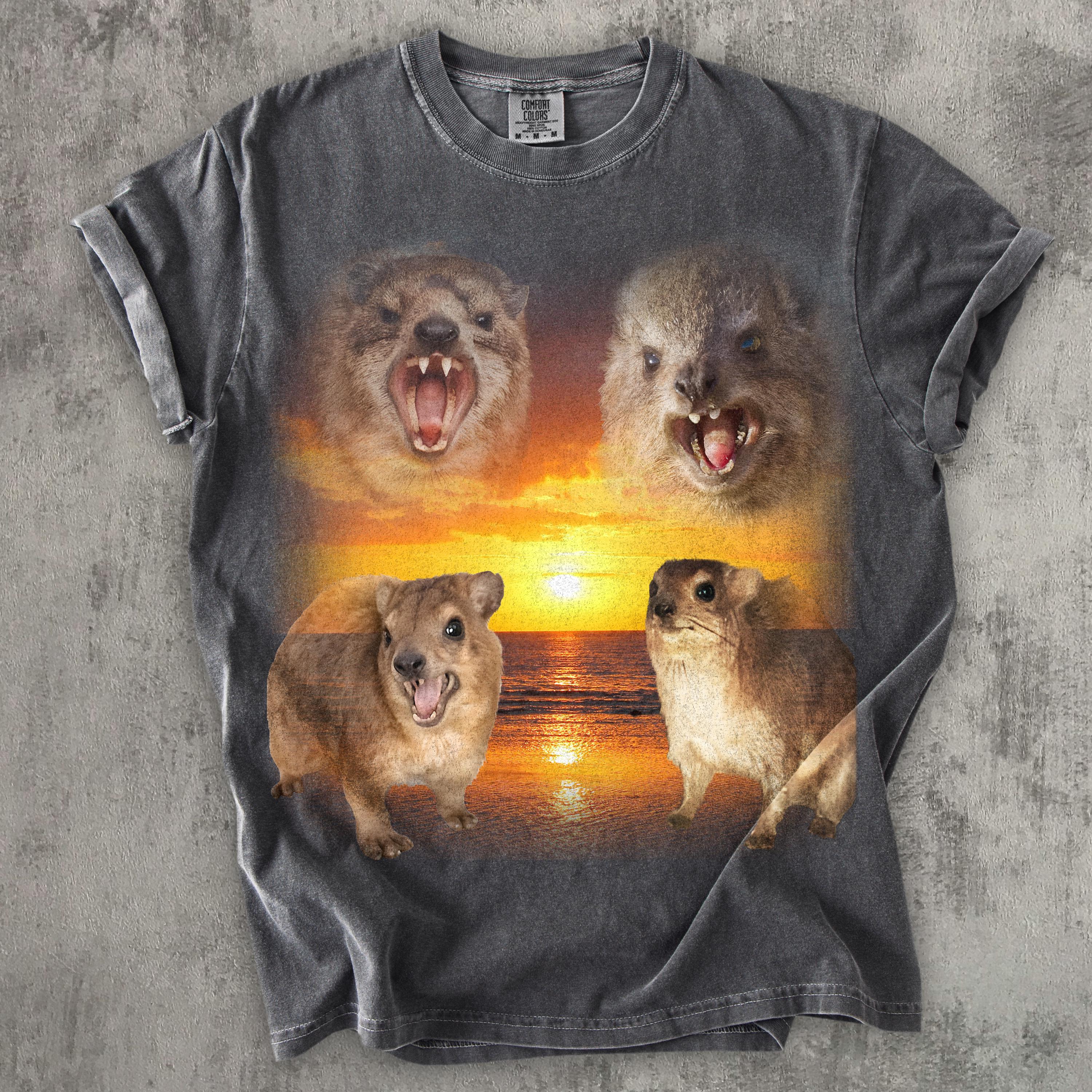 フォー・ハイラックスのレトログラフィックTシャツ、ヴィンテージ