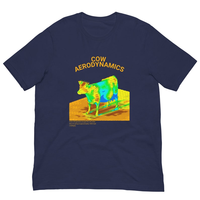 Cow Aerodynamics Shirt, Funny Meme Shirt, Funny Nerdcore Shirt, Nerdy Clothes, Physics Lover Gift, Physics Nerd Shirt, Meme Tshirt, Gift