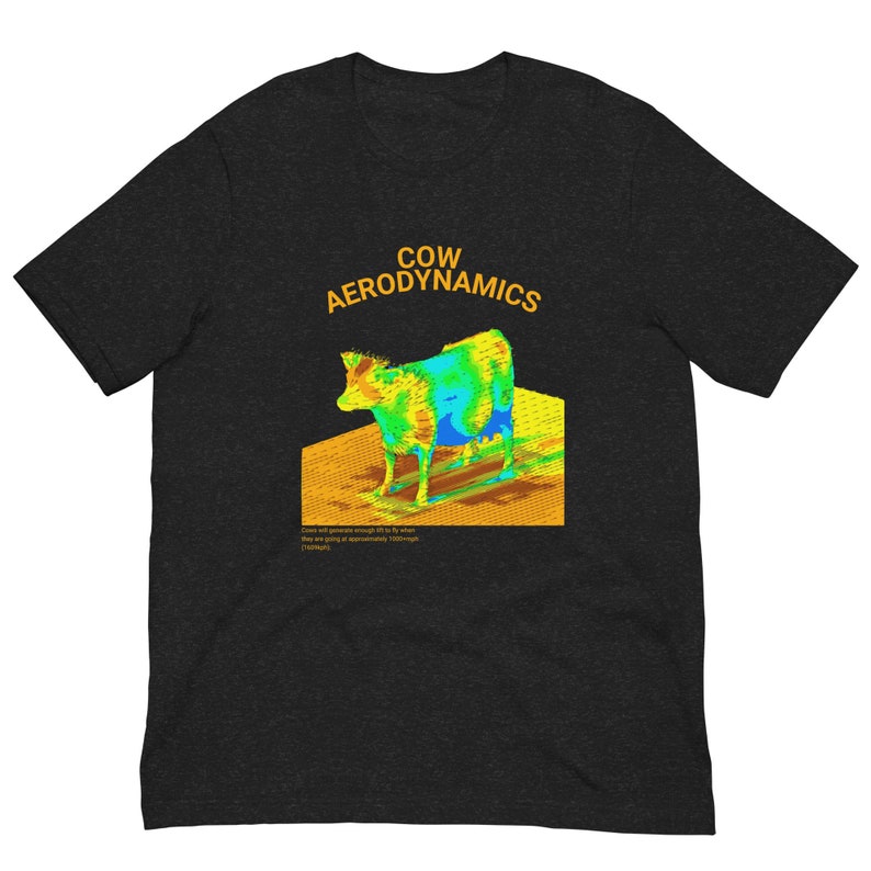 Cow Aerodynamics Shirt, Funny Meme Shirt, Funny Nerdcore Shirt, Nerdy Clothes, Physics Lover Gift, Physics Nerd Shirt, Meme Tshirt, Gift