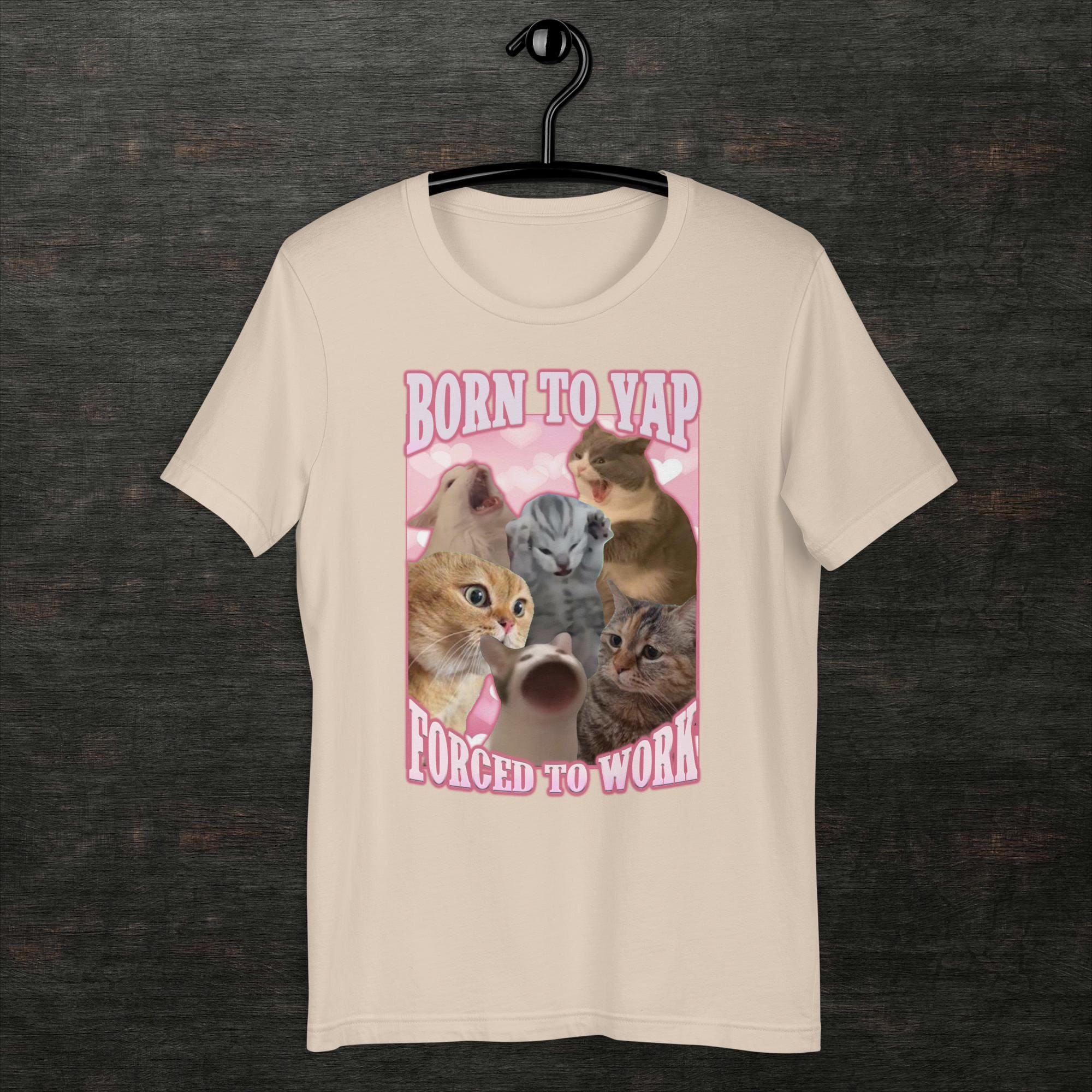 Meet Rocket: The Incredible Two-Legged Cat, image size:2000x2000