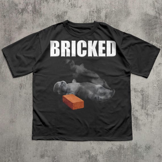 Bricked Funny Cat Knocked Out T-shirt, Cat Meme Shirt, Brainrot Tee, Silly Cats Tshirt, Unhinged Clothes, Weird Tees, Shirts That go Hard