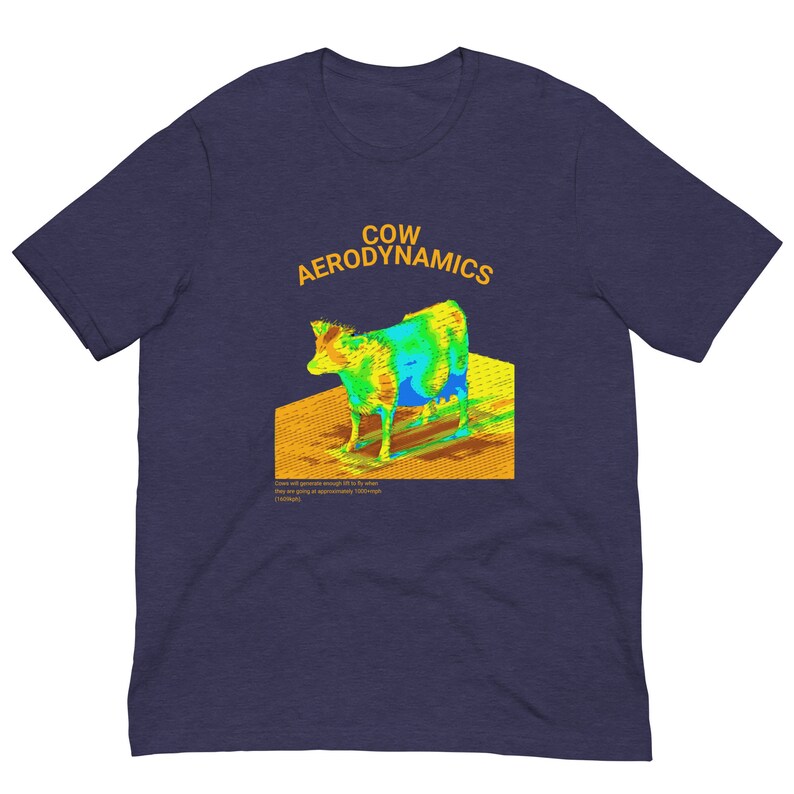 Cow Aerodynamics Shirt, Funny Meme Shirt, Funny Nerdcore Shirt, Nerdy Clothes, Physics Lover Gift, Physics Nerd Shirt, Meme Tshirt, Gift