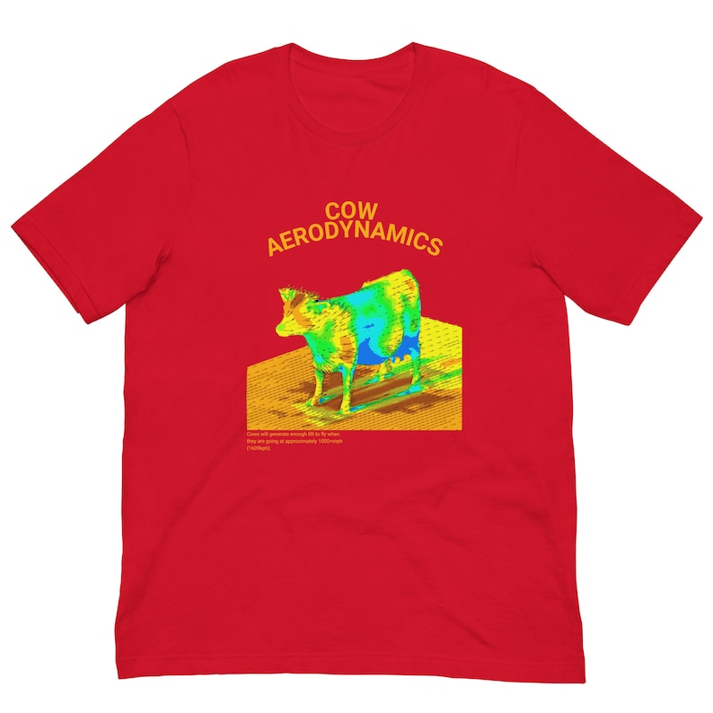 Cow Aerodynamics Shirt, Funny Meme Shirt, Funny Nerdcore Shirt, Nerdy Clothes, Physics Lover Gift, Physics Nerd Shirt, Meme Tshirt, Gift
