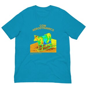 Cow Aerodynamics Shirt, Funny Meme Shirt, Funny Nerdcore Shirt, Nerdy Clothes, Physics Lover Gift, Physics Nerd Shirt, Meme Tshirt, Gift