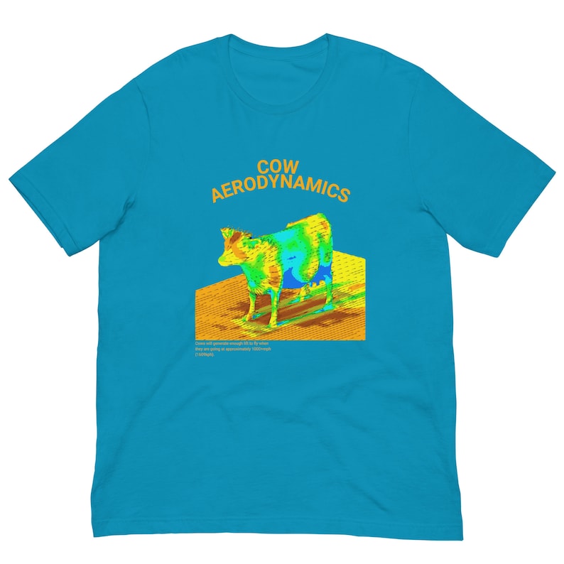 Cow Aerodynamics Shirt, Funny Meme Shirt, Funny Nerdcore Shirt, Nerdy Clothes, Physics Lover Gift, Physics Nerd Shirt, Meme Tshirt, Gift