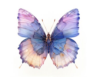 Watercolor Butterfly Clipart – High-Resolution JPG Images (Digital Download)