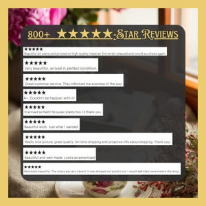 Pu&ograve; includere: Immagine con sfondo dorato e sovrapposizione scura che mostra le recensioni dei clienti. Il testo recita "800+ Star Reviews" e include diverse valutazioni a cinque stelle con commenti positivi sulla qualit&agrave; e sul servizio.