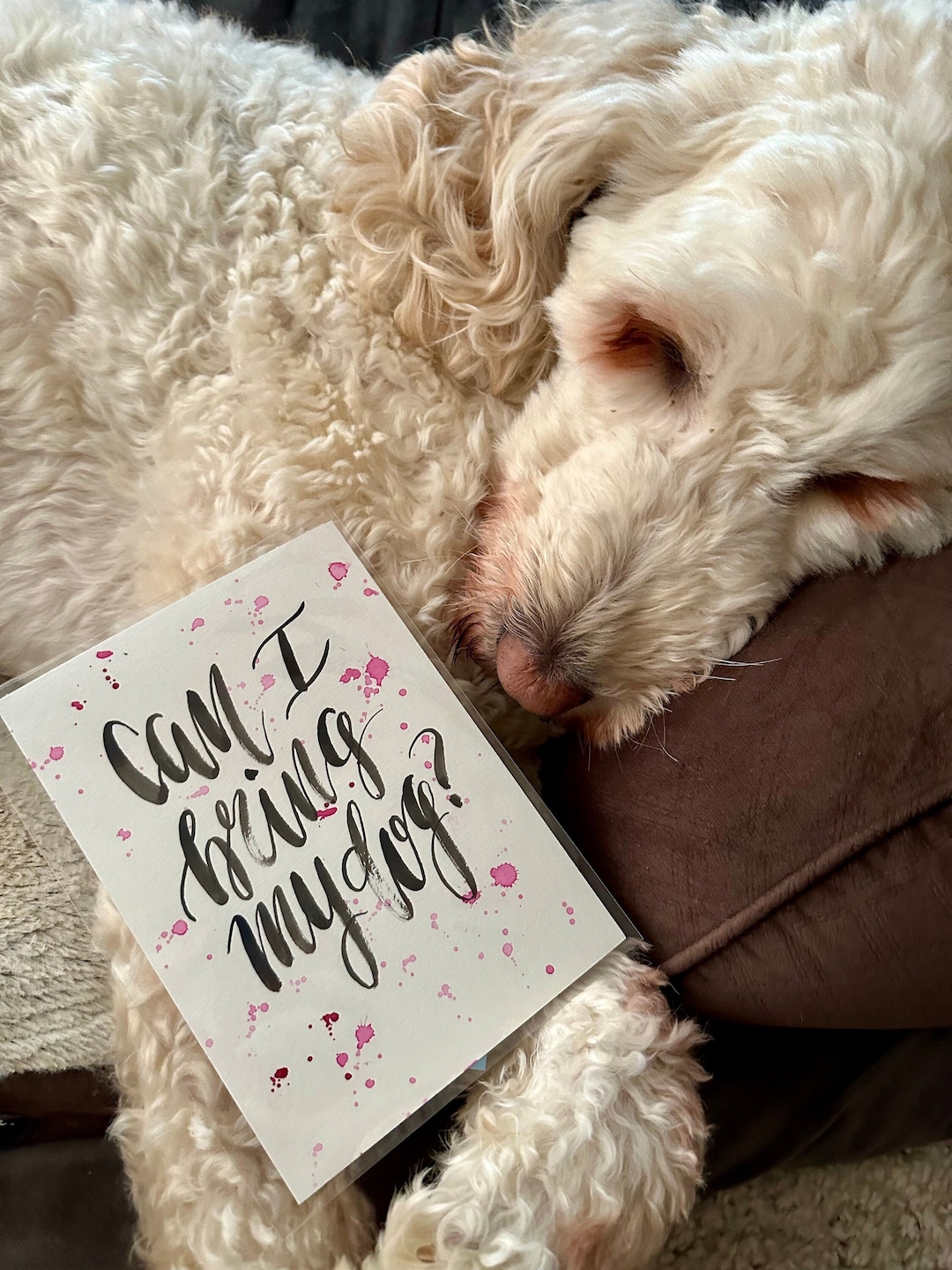 Can I Bring My Dog 6x8 Calligraphy Quote, Small Art, Southern Saying