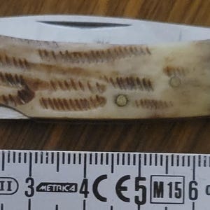 Alce folding knife, deer antler, jigbone, Knife, Messer, Coltello,