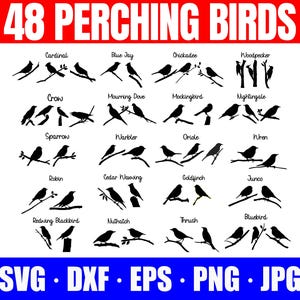 Silhuett-SVG:er av sittande fåglar, clipart med fåglar i svg-format. Inkluderar mejsor, blåskrikor, kardinaler, kråkor, hackspettar och mer!