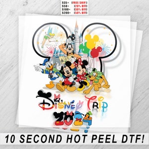 Custom Disney Trip DTF Transfer Sheet - Cartoon Castle Heat Press - Colorful Fireworks Design - T-Shirt Iron On Graphic
