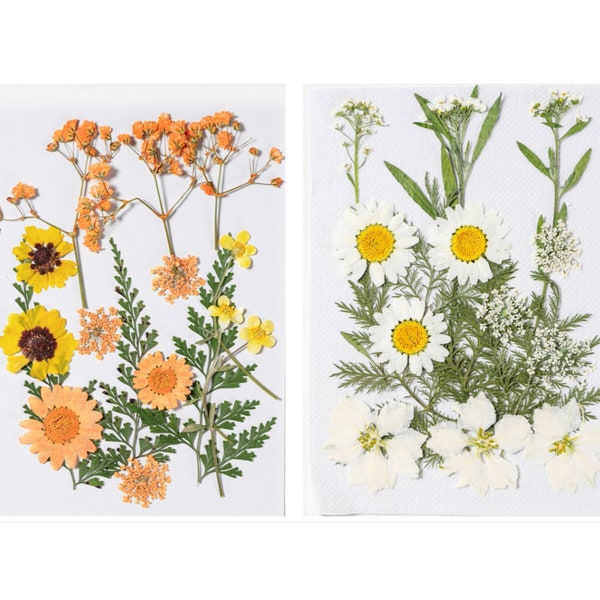 Dried Flower Art Etsy