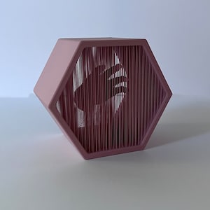 3D Printed Levitating Hand