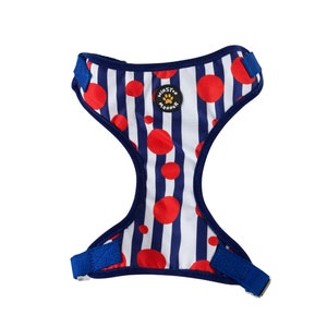 Winston Manner Dog Harness in Bouncy Ball