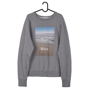 Puede incluir: Sudadera gris de cuello redondo con un gr&aacute;fico rectangular de una escena de playa. El gr&aacute;fico presenta un cielo azul, olas del oc&eacute;ano y arena, con las palabras "Want More" en blanco. La sudadera est&aacute; colgada de una percha negra.