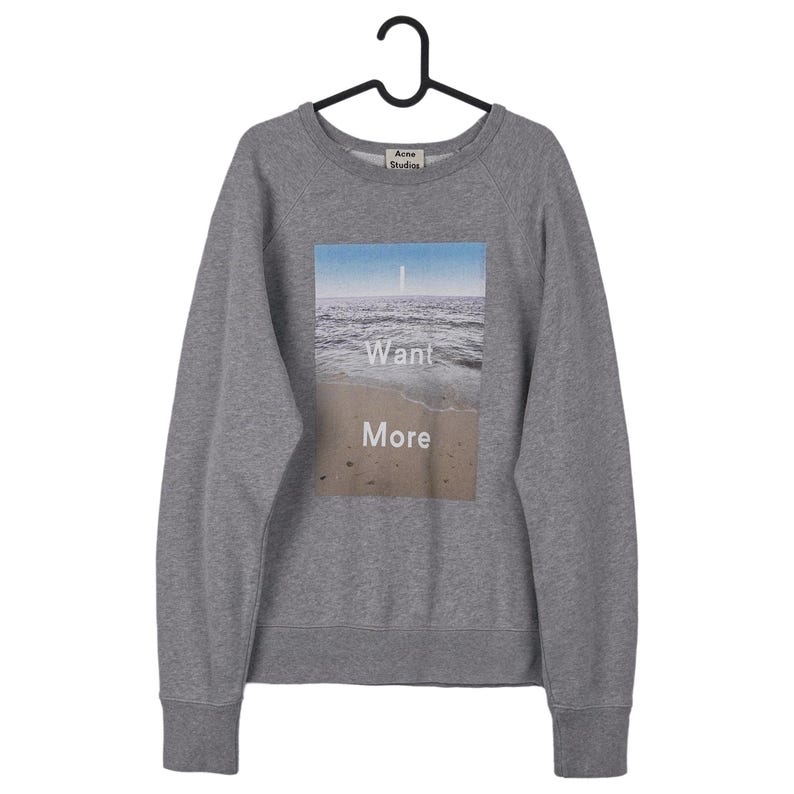 Puede incluir: Sudadera gris de cuello redondo con un gr&aacute;fico rectangular de una escena de playa. El gr&aacute;fico presenta un cielo azul, olas del oc&eacute;ano y arena, con las palabras "Want More" en blanco. La sudadera est&aacute; colgada de una percha negra.