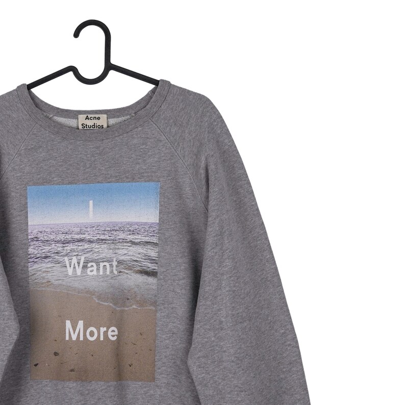 Puede incluir: Sudadera gris de Acne Studios con un gr&aacute;fico rectangular de una escena de playa. El gr&aacute;fico presenta un cielo azul, olas y las palabras "Want More" en blanco. La sudadera est&aacute; colgada de una percha negra.