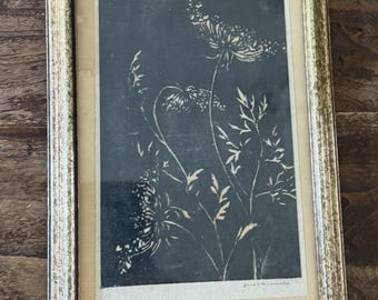 Small botanical print by 20TH century artist Jane Chenoweth