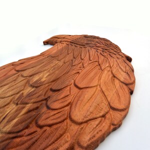 May include: A wooden carving of an eagle wing with detailed feathers. The wing is a rich brown colour and has a natural wood grain.