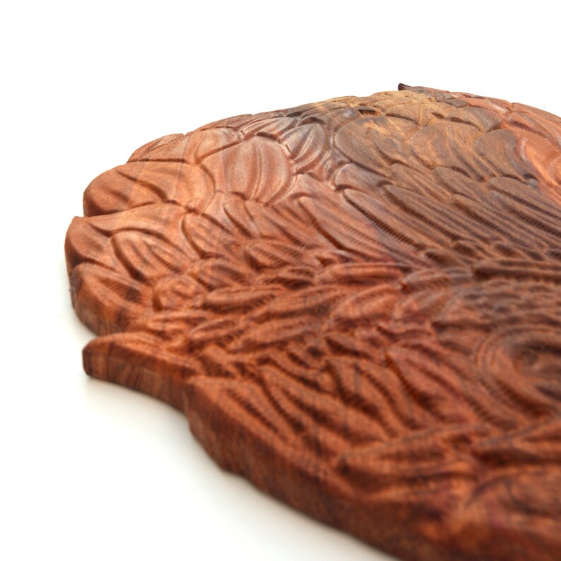 May include: A wooden carving of a bird's wing, featuring intricate details and a rich brown colour.