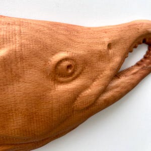 May include: A wooden carving of a fish head, in light brown tones. The sculpture shows a detailed eye, an open mouth with teeth, and textured surfaces. The wood grain is visible, enhancing the natural look of the artwork.