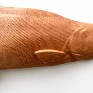 May include: Close-up of a bronze-coloured fish sculpture. The sculpture has a textured surface and a prominent fin. The fish is set against a white background, emphasising its form and colour.