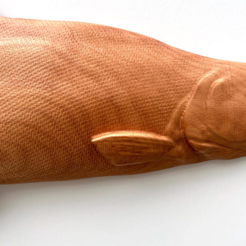 May include: Close-up of a bronze-coloured fish sculpture. The sculpture has a textured surface and a prominent fin. The fish is set against a white background, emphasising its form and colour.