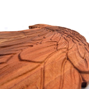 May include: A wooden carving of an eagle wing, with detailed feathers and a reddish-brown colour.