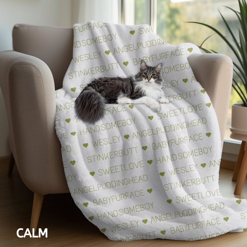 Custom Dog Cat Nickname Plush Blanket, Fur Baby Blanket, Puppy Kitten