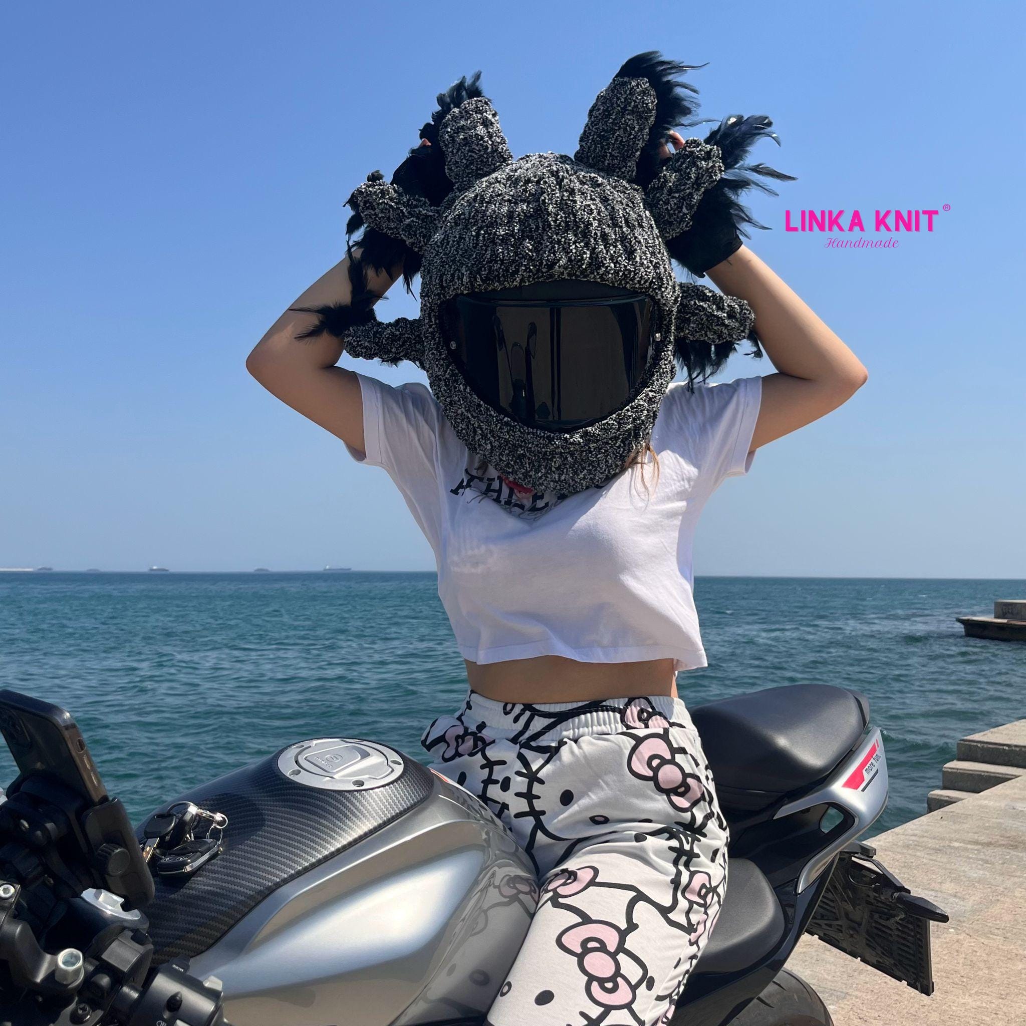 Axolotl Helmet Cover,motorcycle Helmet Cover ,motorcycle