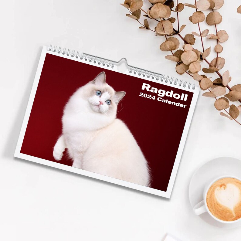 2024 Ragdoll Cat Wall Calendar Ragdoll Cat Photo Calendar Etsy