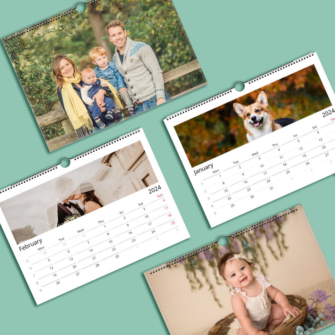 2024 Ragdoll Cat Wall Calendar Ragdoll Cat Photo Calendar Etsy Australia
