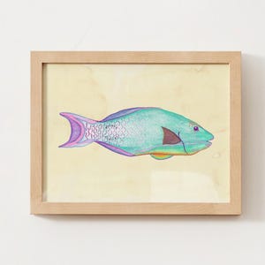 Parrot Fish Watercolor Painting - Digital Print