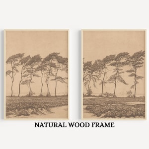 Tree Line Art Print – Minimalist Nature Wall Art, Set of 2 Vintage Landscape Prints, Neutral Botanical Decor , Pine Tree Sketch Art - FRAMED