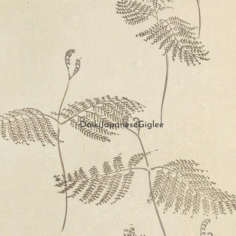May include: A botanical illustration featuring fern-like plants with detailed, feathery leaves in shades of gray and brown. The artwork is set against a cream-colored background, creating a vintage aesthetic. The image has the text "DaikiJapaneseGiglee".