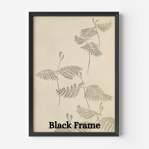 May include: A framed botanical print featuring detailed illustrations of fern-like plants in shades of gray and brown. The artwork is set against a cream-colored background and enclosed in a black frame. The text "Black Frame" is printed at the bottom.