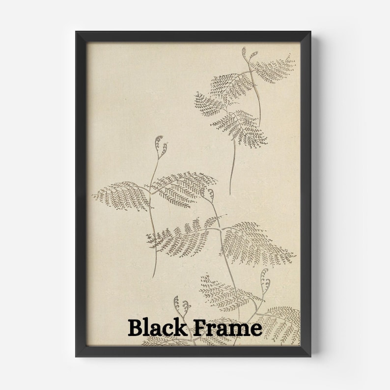May include: A framed botanical print featuring detailed illustrations of fern-like plants in shades of gray and brown. The artwork is set against a cream-colored background and enclosed in a black frame. The text "Black Frame" is printed at the bottom.