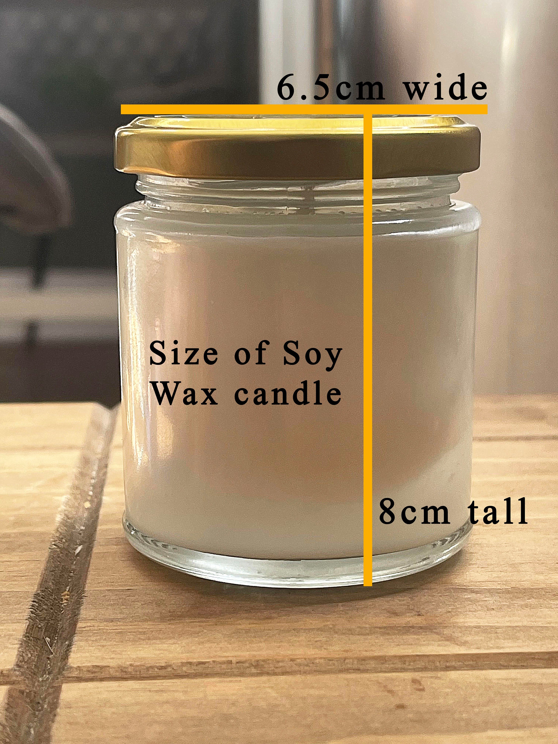 candle✣candle A Candle for Kawasaki Z1000sx Obsessive Soy Candle and